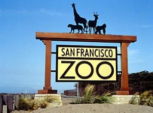 SF Zoo 300x222 SF Zoo Free Admission Day: First Wednesdays