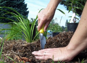 dig 300x218 Gardening in Small, Urban Spaces | Civic Center