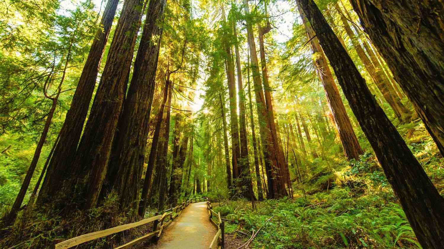 Free National Parks Admission for Independence Day Weekend (July 3-5, 2026)
