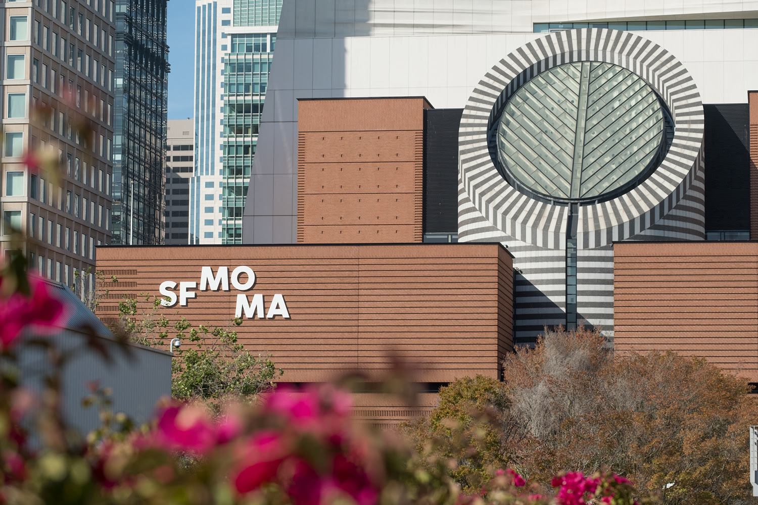 $15 Admission to SFMOMA (March 2-April 17, 2026)